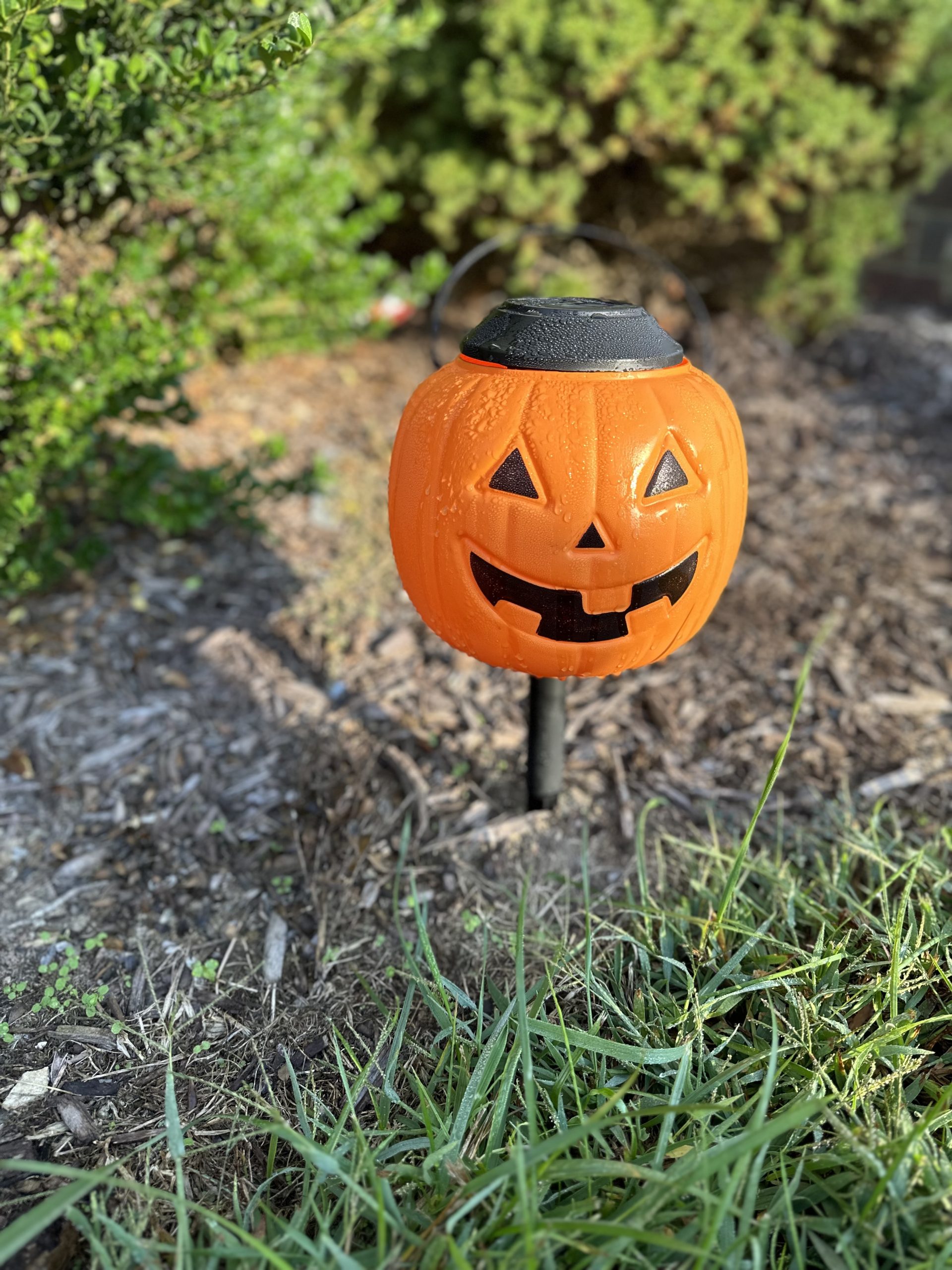 quick and easy DIY solar pumpkin lanterns